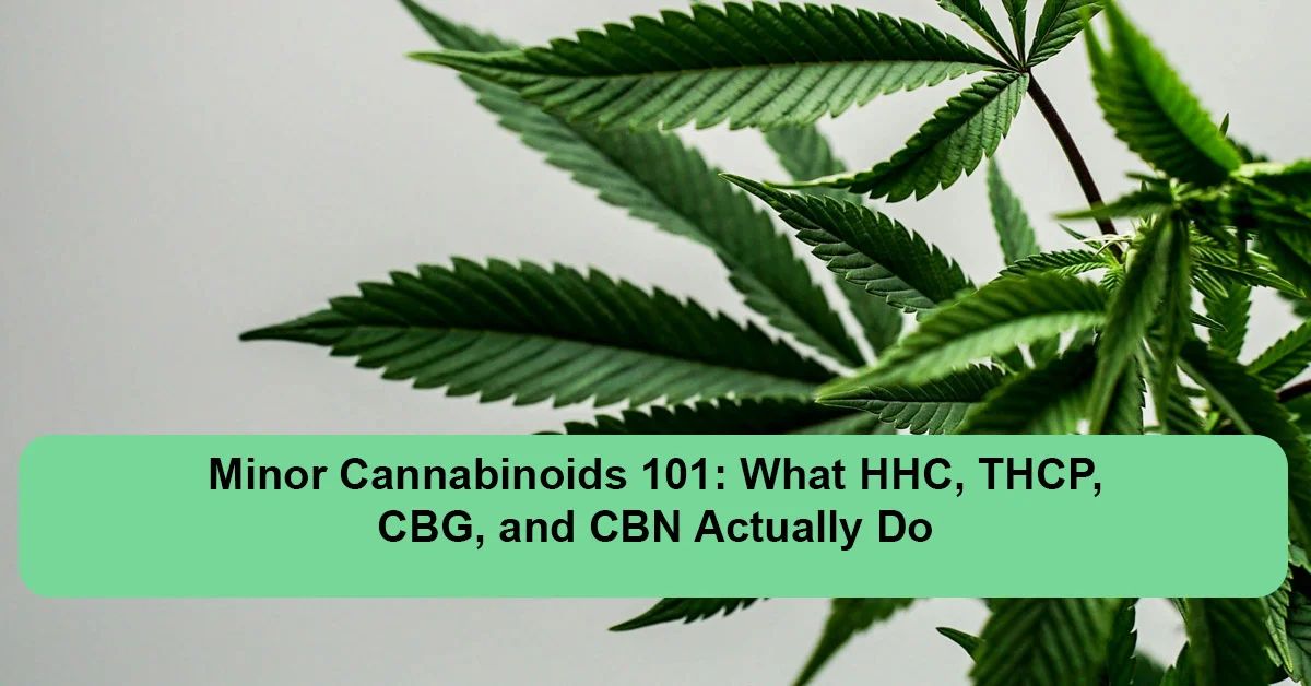 Minor Cannabinoids 101: What HHC, THCP, CBG, and CBN Actually Do