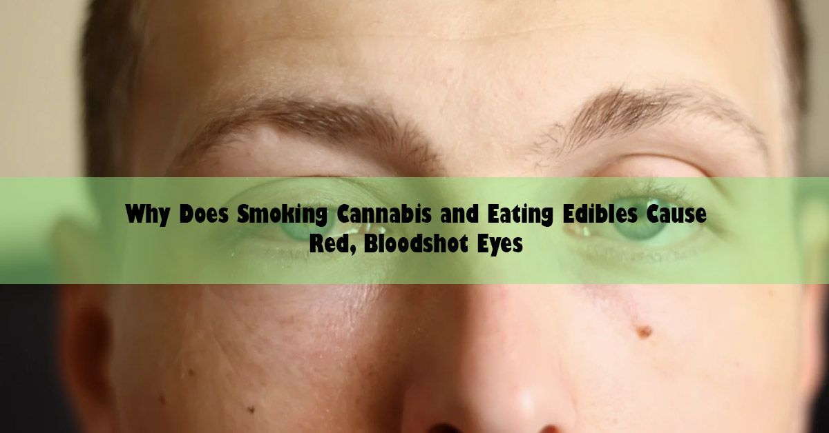 blog-wide-why-does-red-eye.jpg