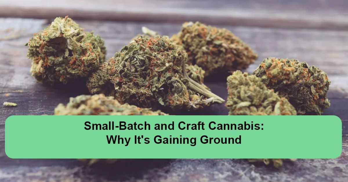 small-batch-craft-cannabis-trending.webp
