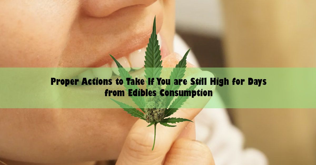 proper-action-to-take-from-edibles.jpg