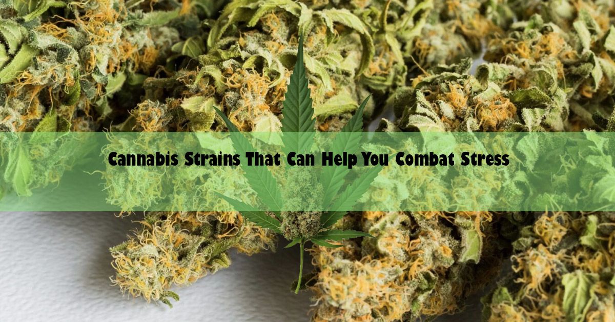 cannabis-strains-that-can-help-you-combat-stress.jpg