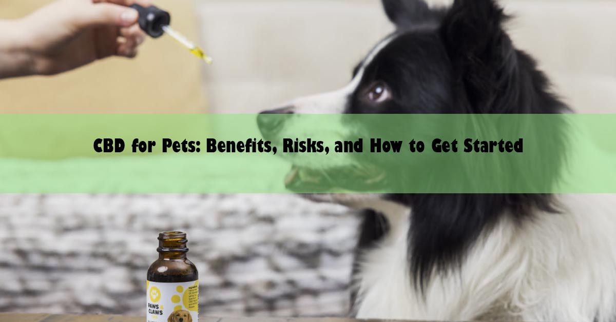 cbd-for-pets.jpg