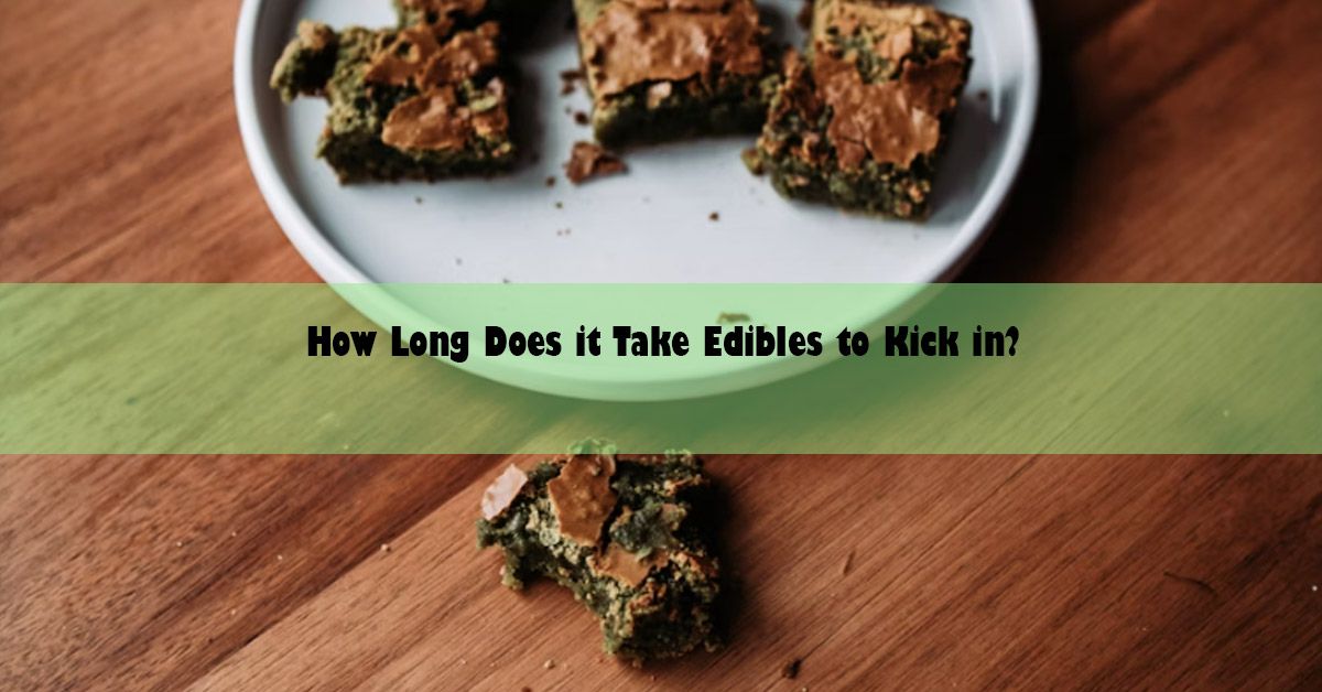 blog-wide-how-long-does-it-take.jpg