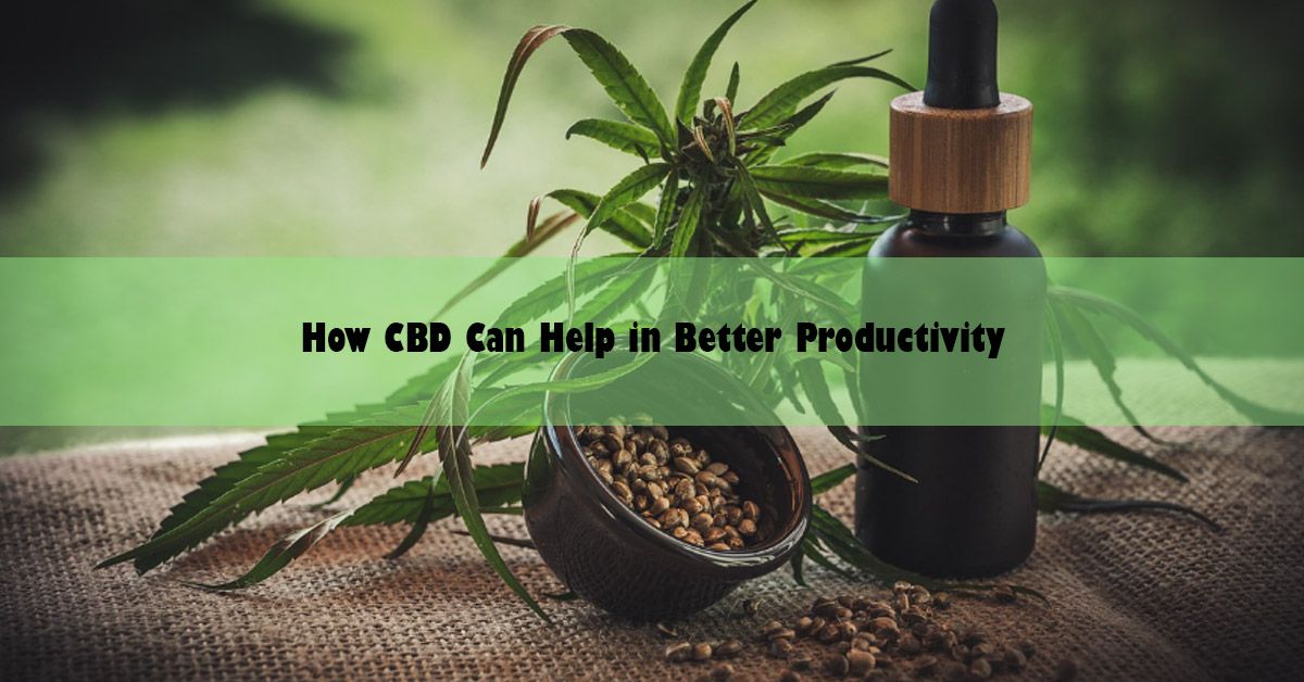 how-cbd-can-help-in-better-productivity.jpg