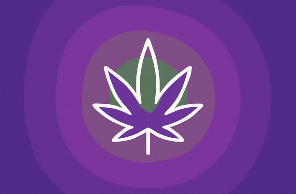Indica Dominant