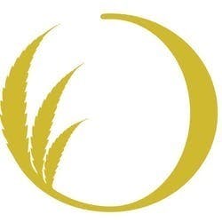 Dipensary logo