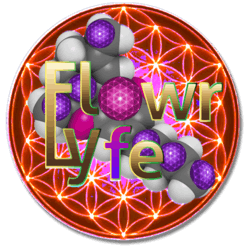 Dipensary logo