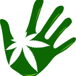 Dipensary logo